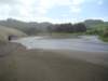 dsc03316_small.jpg