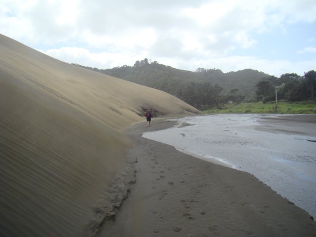dsc03318.jpg