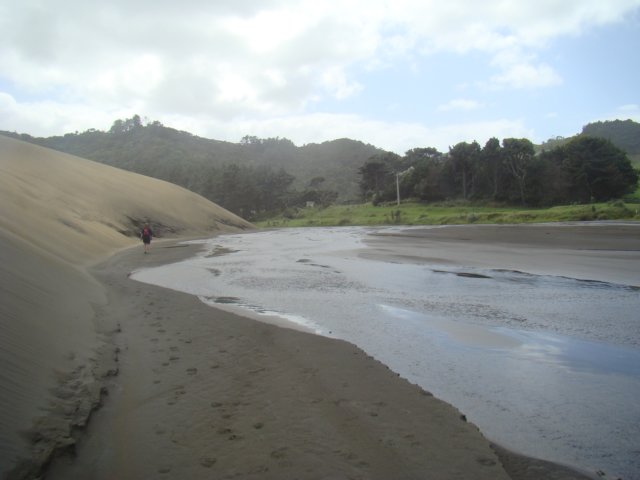 dsc03319.jpg