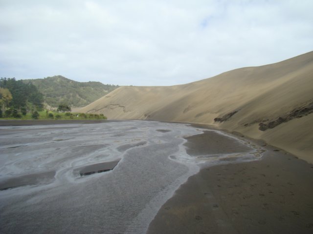 dsc03320.jpg