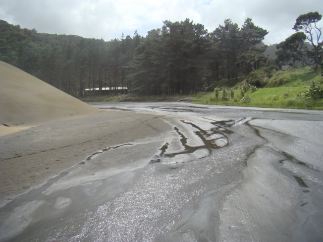 dsc03321.jpg