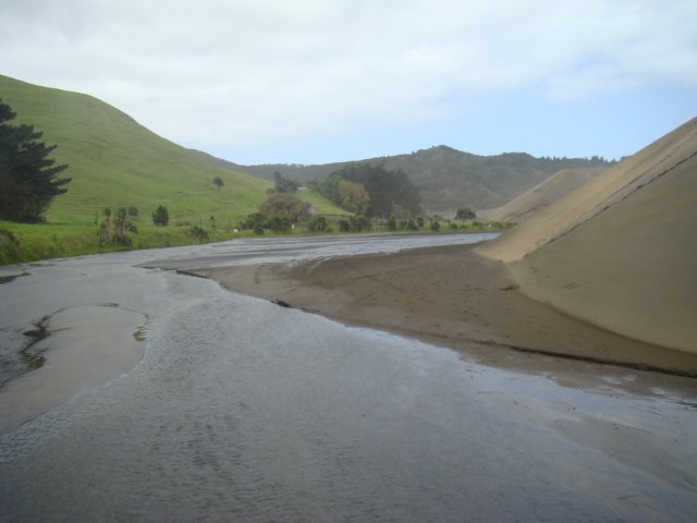 dsc03328.jpg