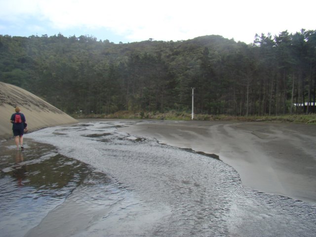 dsc03329.jpg