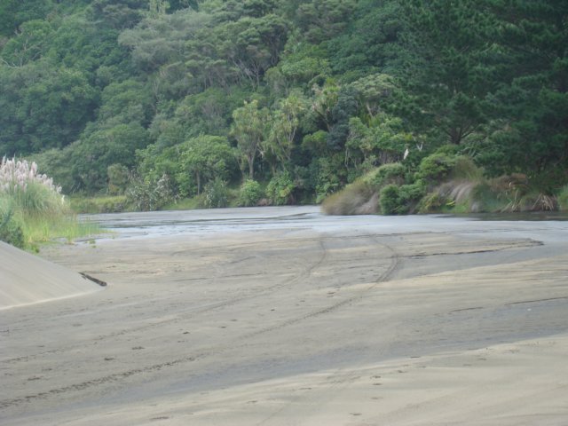 dsc03335.jpg