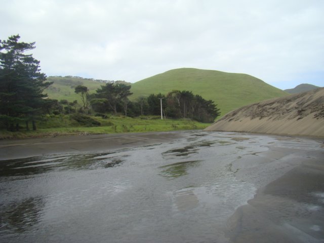 dsc03336.jpg