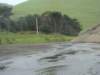 dsc03337_small.jpg