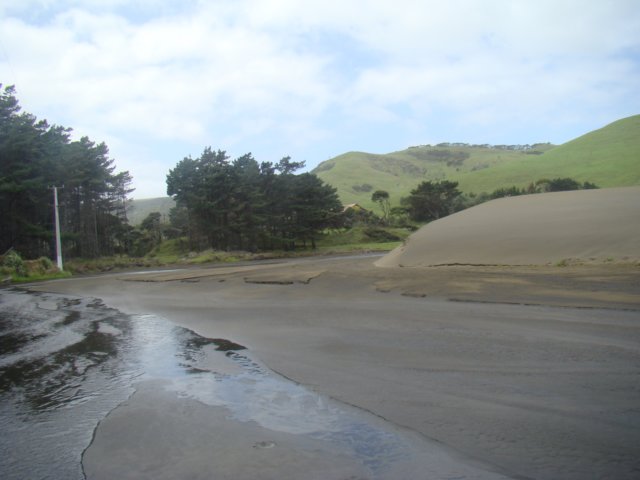 dsc03339.jpg