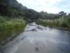 dsc03343_small.jpg