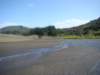 dsc03347_small.jpg