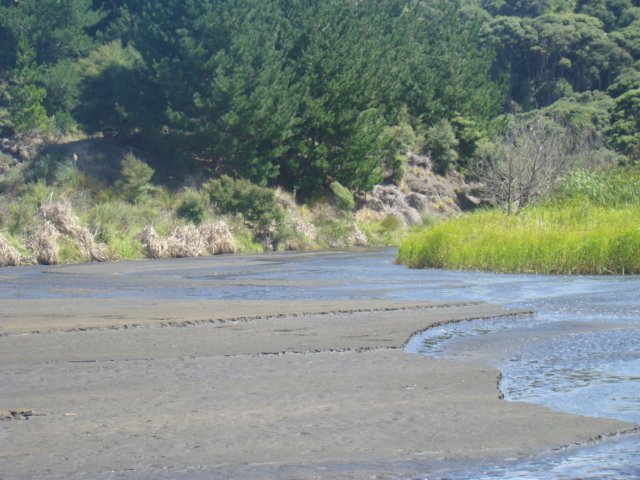 dsc03348.jpg