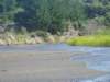 dsc03348_small.jpg