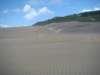 dsc03350_small.jpg