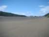 dsc03351_small.jpg