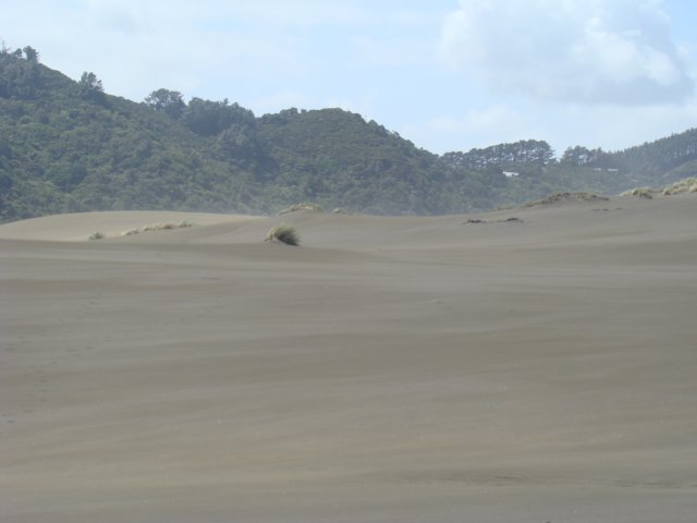 dsc03353.jpg