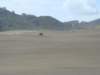dsc03353_small.jpg