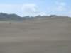 dsc03355_small.jpg