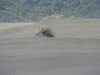 dsc03356_small.jpg