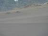 dsc03357_small.jpg