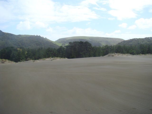 dsc03363.jpg