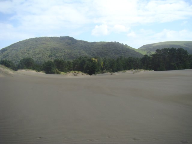 dsc03364.jpg