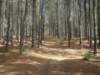 dsc03366_small.jpg