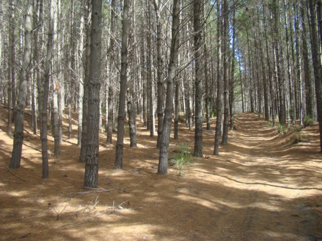 dsc03367.jpg