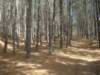dsc03367_small.jpg