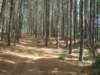 dsc03368_small.jpg