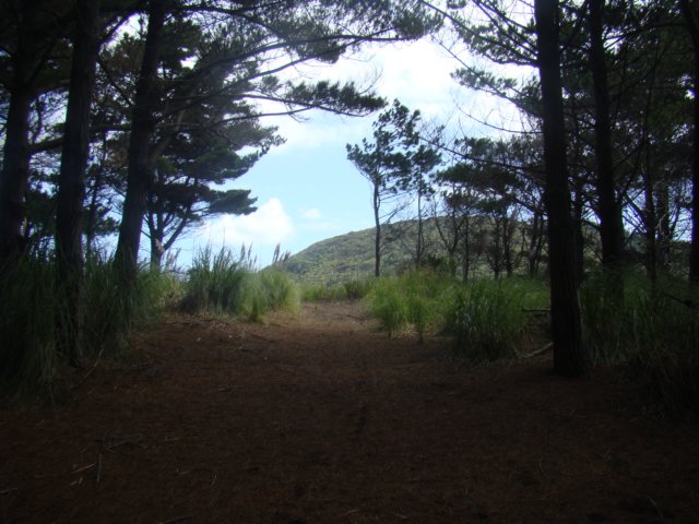 dsc03373.jpg