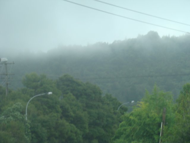dsc03116.jpg