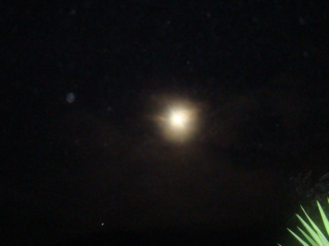 dsc03127.jpg