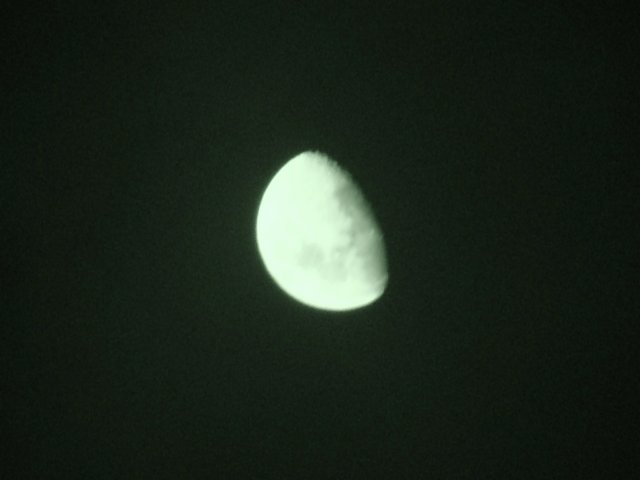 dsc03134.jpg
