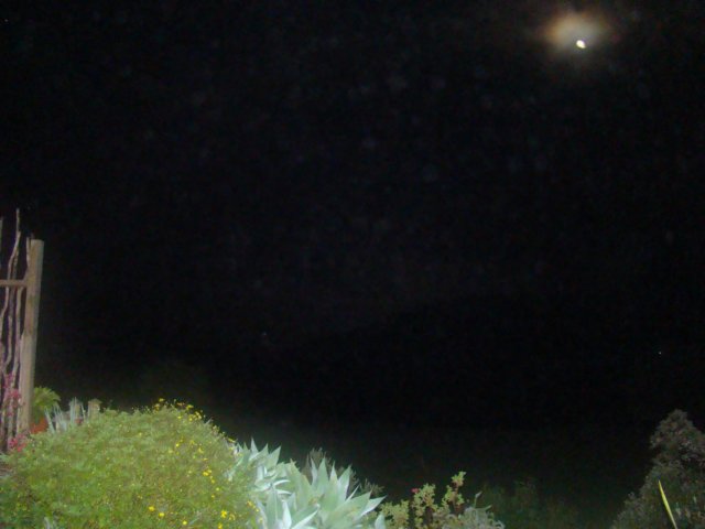 dsc03140.jpg