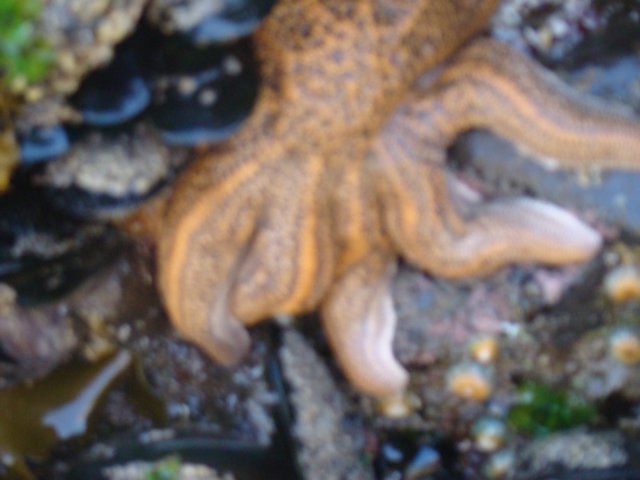 dsc02341.jpg