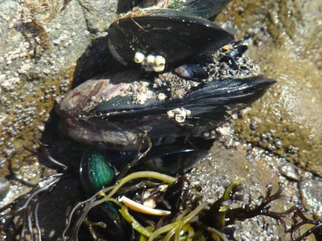 dsc02354.jpg