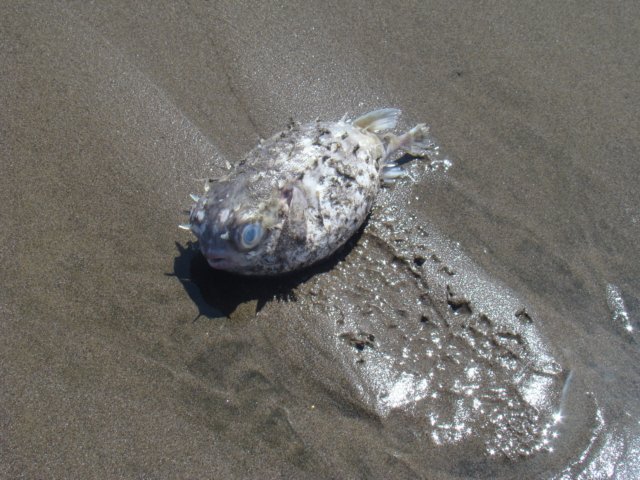dsc02415.jpg