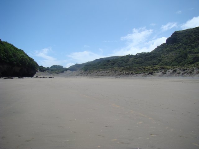 dsc02316.jpg