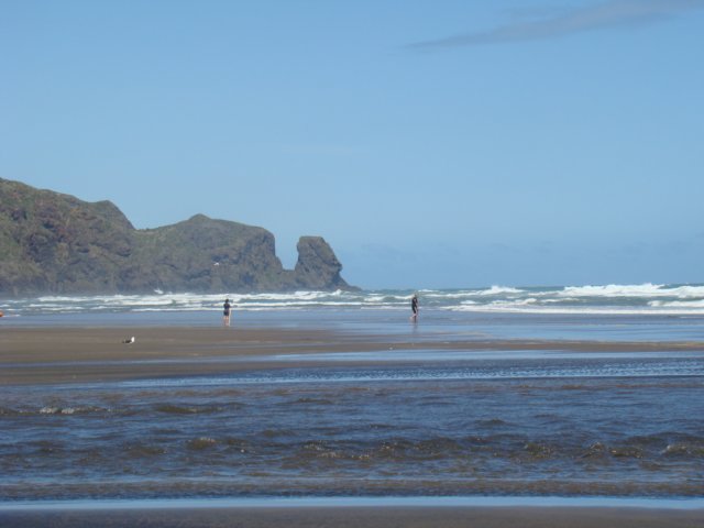 dsc02318.jpg