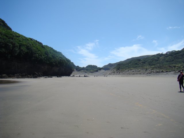 dsc02323.jpg