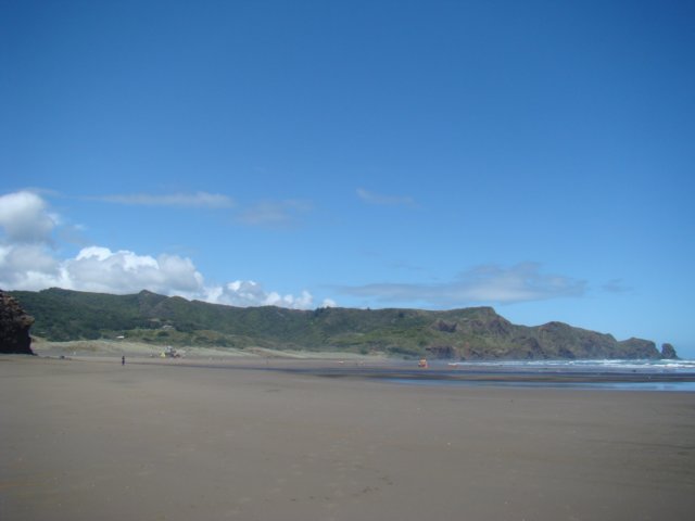 dsc02331.jpg