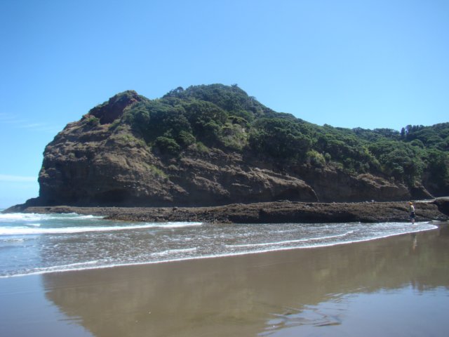 dsc02334.jpg