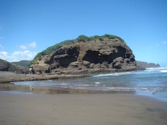 dsc02360.jpg