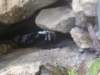 dsc02363_small.jpg