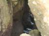 dsc02364_small.jpg