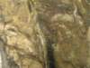 dsc02366_small.jpg