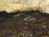 dsc02367_small.jpg