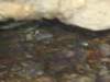 dsc02368_small.jpg