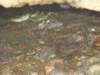 dsc02369_small.jpg