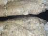 dsc02371_small.jpg
