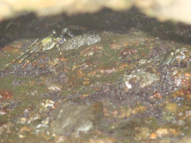 dsc02372.jpg
